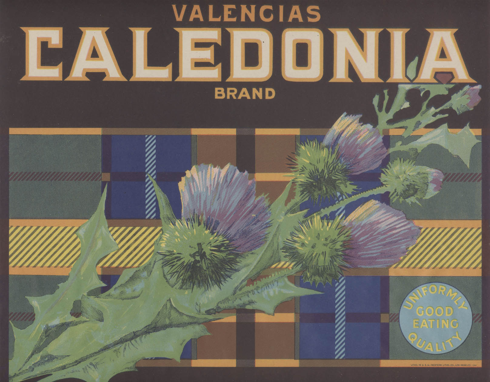 Photo of label