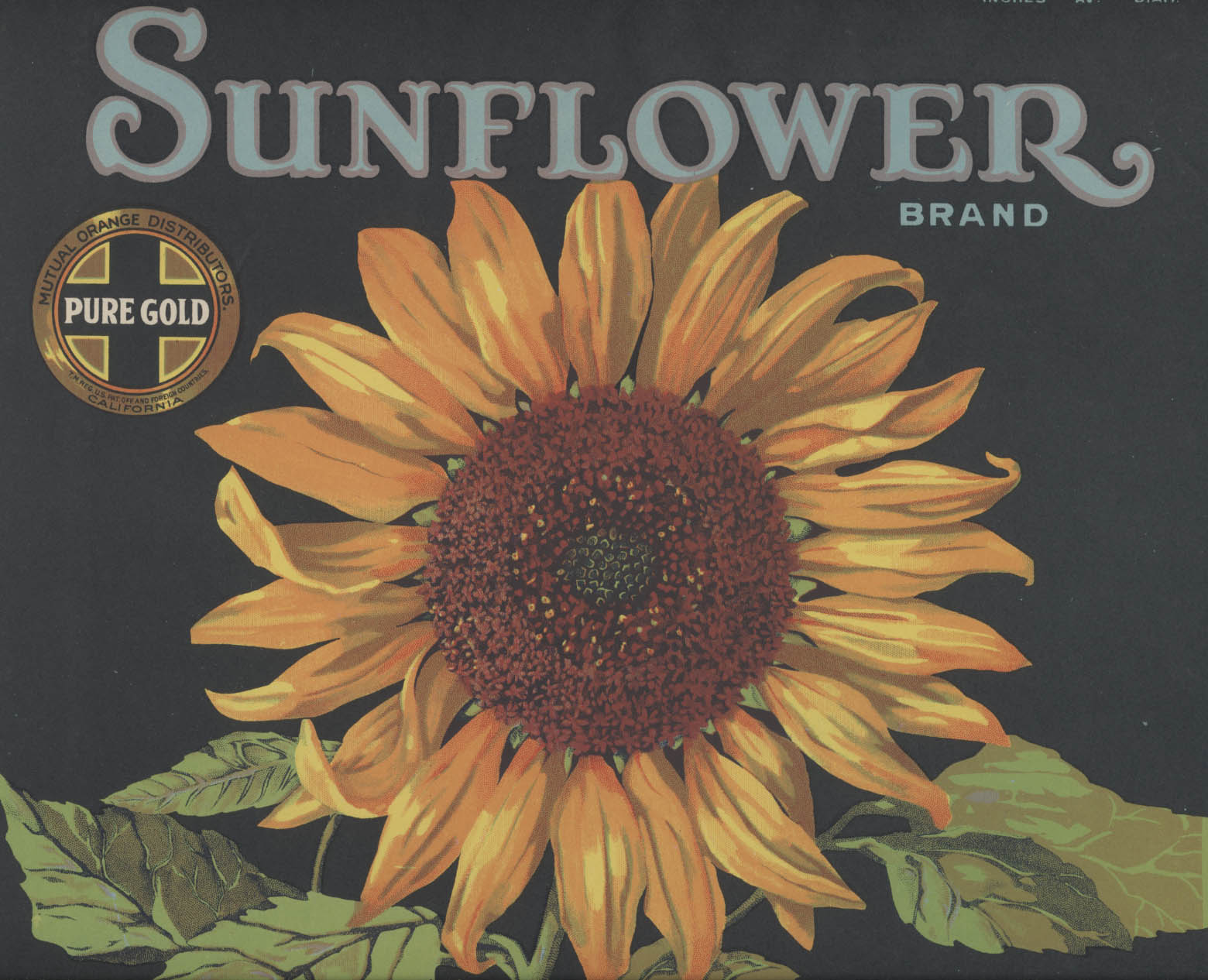 Photo of label