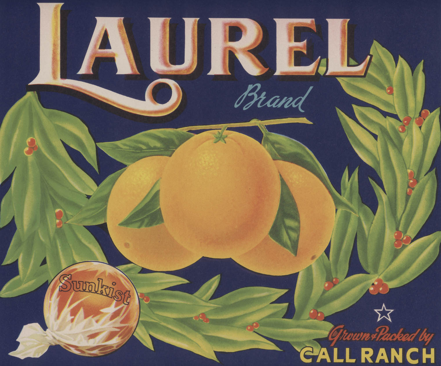 Photo of label
